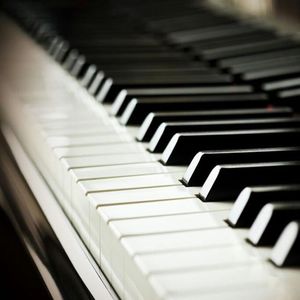 黑森林福利视频导航
