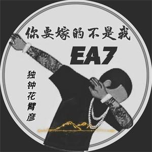 黑森林福利视频导航
